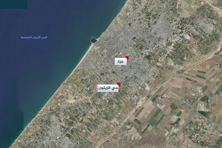 distrikzaitunpalestina