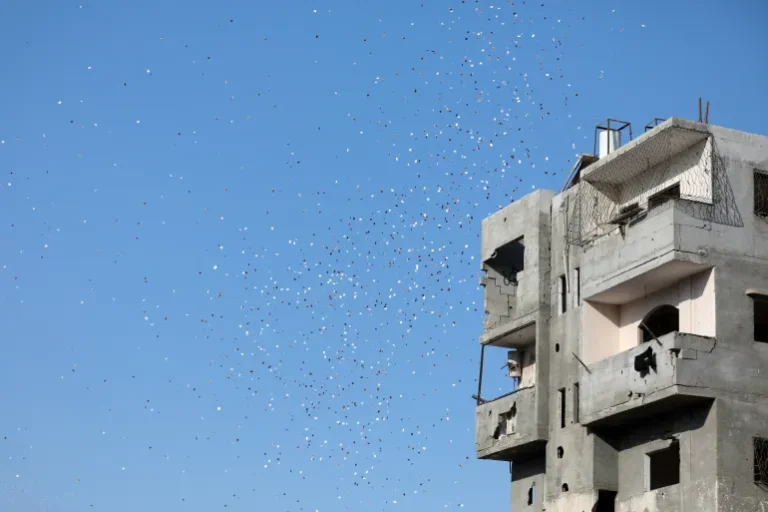 Selebaran yang dijatuhkan pasukan Israel berisi perintah evakuasi bagi warga Kota Gaza jatuh di samping sebuah bangunan yang rusak [Dawoud Abu Alkas / Reuters]