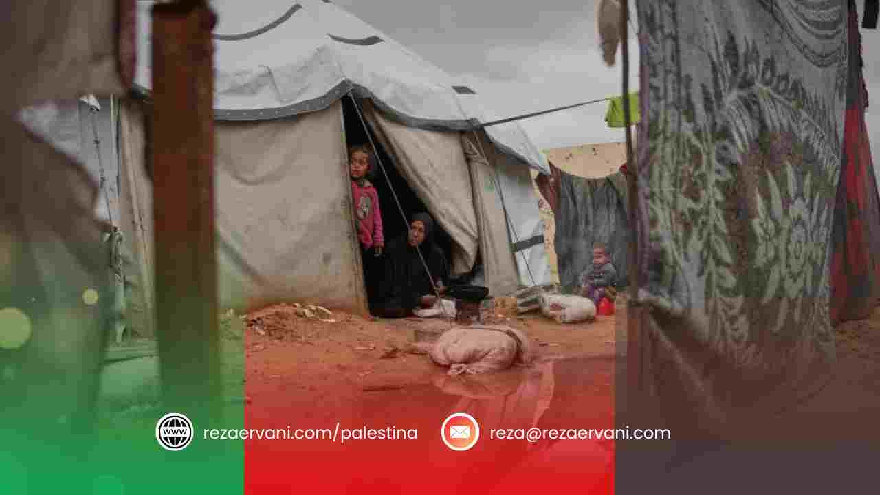 musim dingin 2026 gaza