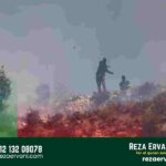 terorisme pemukim terorganisir